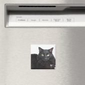 Zwarte kat magneet (Insitu (Vaatwasser))