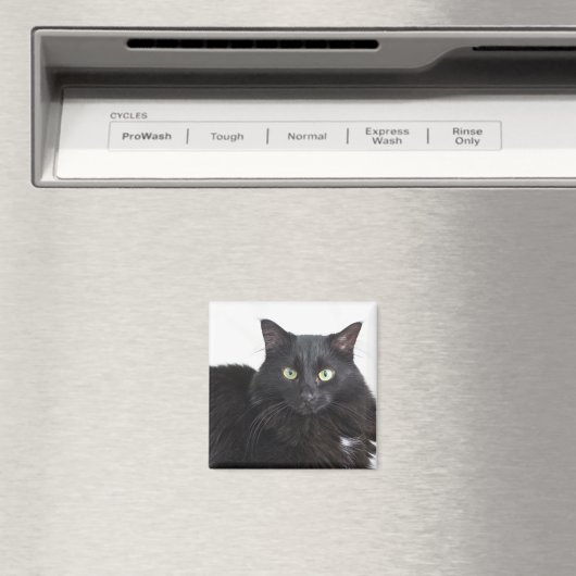 Zwarte kat magneet (Insitu (Vaatwasser))