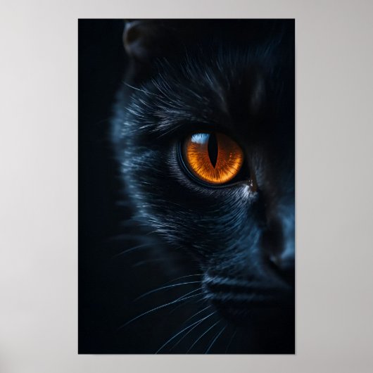 Zwarte Kat met Amber Oog Poster (Voorkant)
