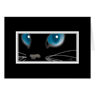 Zwarte kat met blauwe ogen