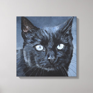 Zwarte Kat Met Blauwe Ogen Tegen Donkerblauw Canvas Afdruk