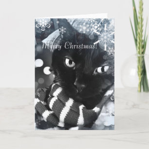Zwarte Kat met de Kerstkaart van Sneeuwvlokken Feestdagen Kaart
