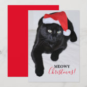 Zwarte kat met de rode kerstman muts feestdagenkaart (Voorkant / Achterkant)
