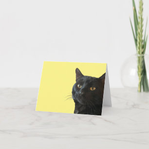 Zwarte Kat Met Een Grappige Excentrieke Uitdrukkin Kaart