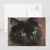 Zwarte kat met groen oogportret briefkaart (Voorkant / Achterkant)