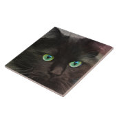 Zwarte kat met groen oogportret tegeltje (Zijkant)