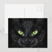 Zwarte kat met groene ogen briefkaart (Voorkant / Achterkant)