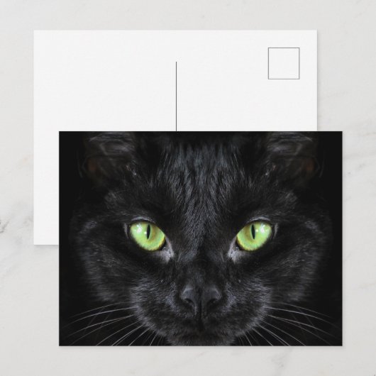 Zwarte kat met groene ogen briefkaart (Voorkant / Achterkant)