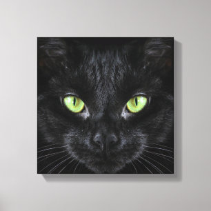 Zwarte Kat met Groene Ogen Canvas Afdruk