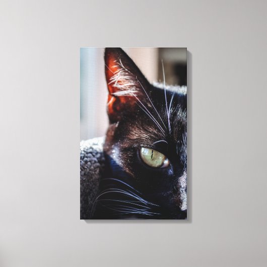 Zwarte Kat met Groene Ogen Ingepakt Canvas Afdruk (Voorkant)