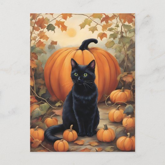 Zwarte kat met Halloween pompoen Briefkaart (Voorkant)