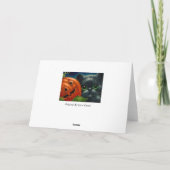 ZWARTE KAT MET HALLOWEEN POMPOEN PAS KAART AAN (Achterkant)