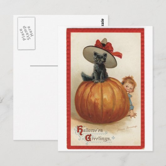  zwarte kat met heks Pet Briefkaart (Voorkant / Achterkant)