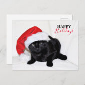 Zwarte kat met kerstmuts feestdagenkaart (Voorkant / Achterkant)