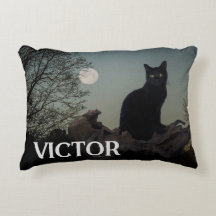 Zwarte kat met maan op boom ledemaat aangepaste na