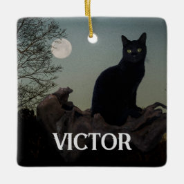 Zwarte kat met maan op boom ledemaat keramisch ornament