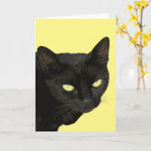 Zwarte Kat Met Mooie Gele Ogen Vector Kunst Kaart (Gele Bloem)