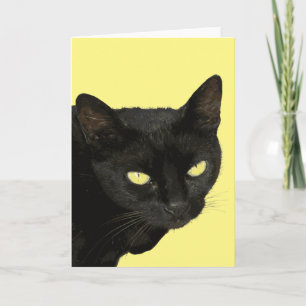 Zwarte Kat Met Mooie Gele Ogen Vector Kunst Kaart