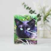 Zwarte kat met opvallende groene ogen briefkaart (Staand voorkant)
