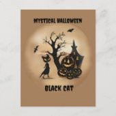 Zwarte kat met pompoenen bij Twilight Informatiekaartje (Voorkant)