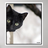 Zwarte kat - met rand poster (Voorkant)