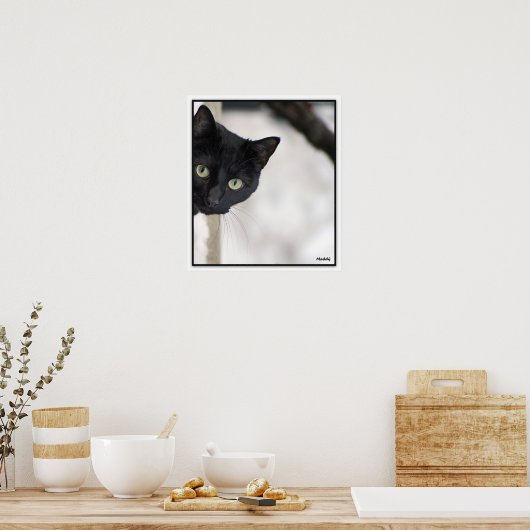 Zwarte kat - met rand poster (Keuken)