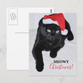 Zwarte kat met rode kersthat briefkaart (Voorkant / Achterkant)