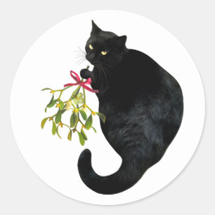 Zwarte kat met stickers van maretak