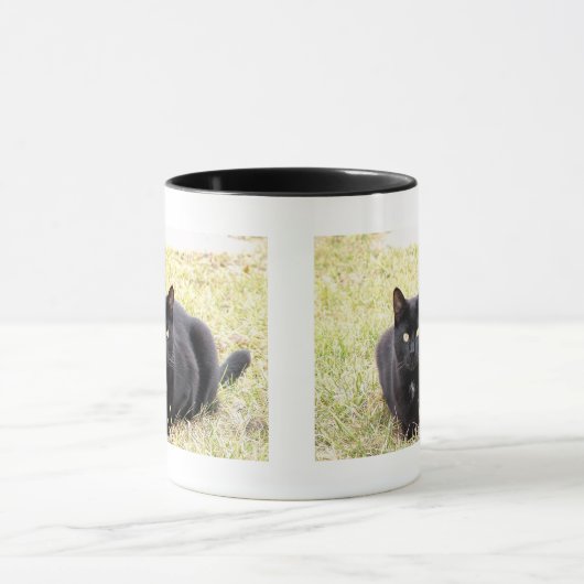 Zwarte kat-Mok Mok (Midden)