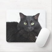 Zwarte kat mousepad muismat (Met muis)