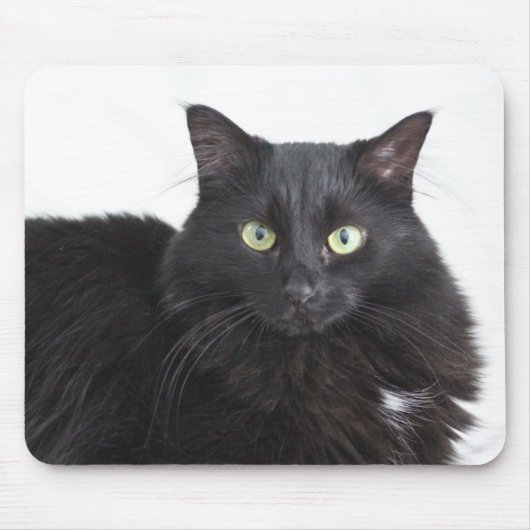 Zwarte kat mousepad muismat (Voorkant)