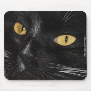 Zwarte kat muismat