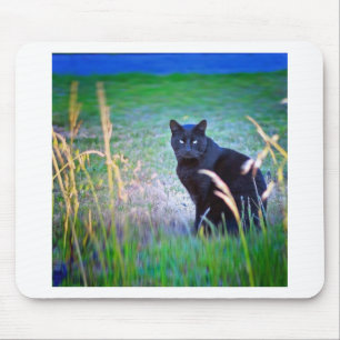 Zwarte kat muismat