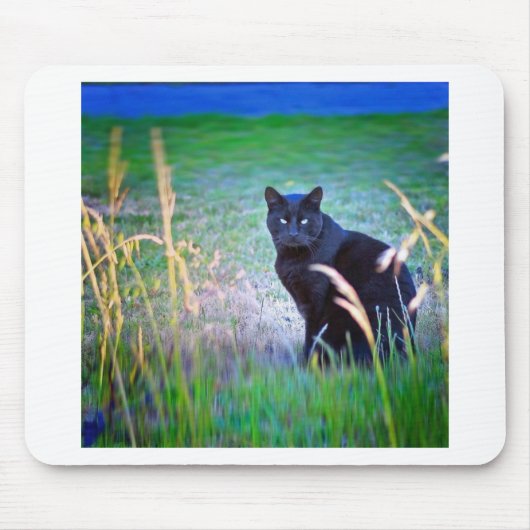 Zwarte kat muismat (Voorkant)