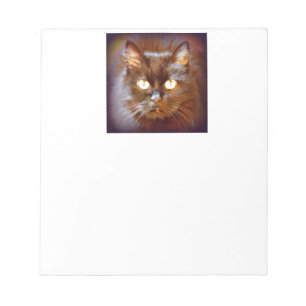 zwarte kat notitieblok
