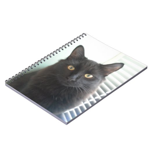 Zwarte kat notitieboek (Linkerzijde)
