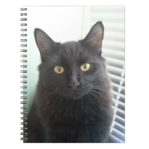 Zwarte kat notitieboek