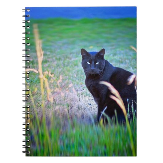 Zwarte kat notitieboek (Voorkant)