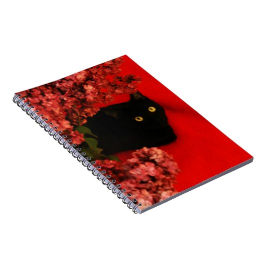 zwarte kat notitieboek (Rechterzijde)