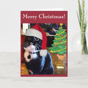 Zwarte kat "O kerstboom" Kaart