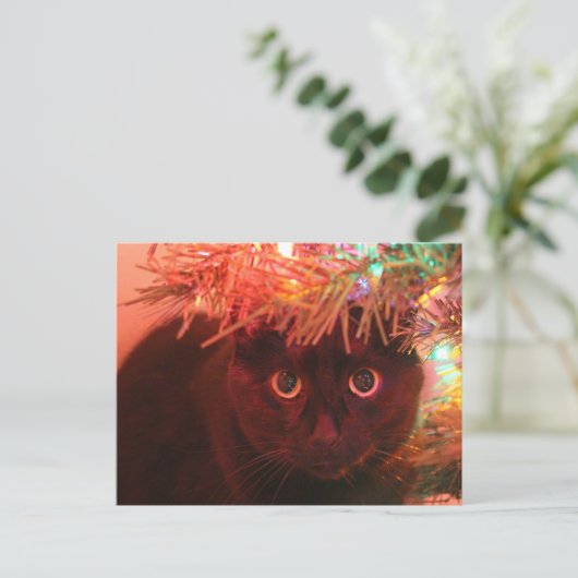 Zwarte kat onder het briefkaart Kerstmis (Staand voorkant)