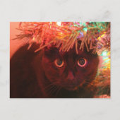 Zwarte kat onder het briefkaart Kerstmis (Voorkant)