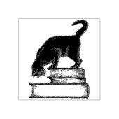 Zwarte kat op boekenrubberen stempel (Afrduk)