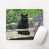 Zwarte kat op Bridge Mousepad Muismat (Met muis)