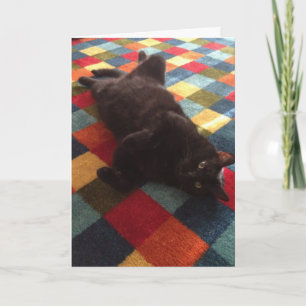 Zwarte kat op de Kaart van de verjaardag van het t