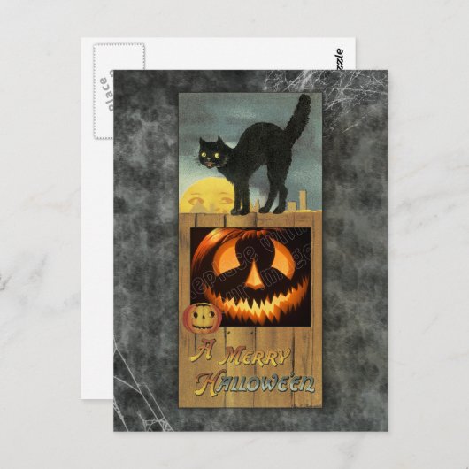 Zwarte kat op een houten hek met pompoen briefkaart (Voorkant / Achterkant)