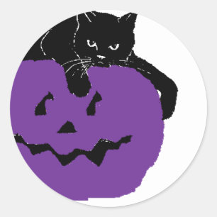 Zwarte kat op een Paarse pompoen Ronde Sticker
