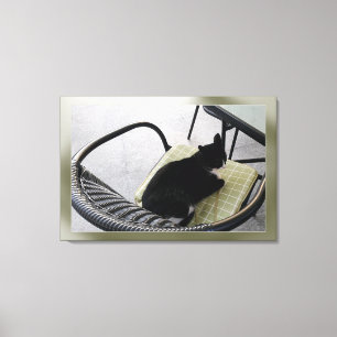 Zwarte kat op een terras canvas afdruk