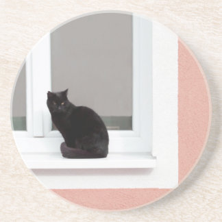 Zwarte kat op koraal zandsteen onderzetter