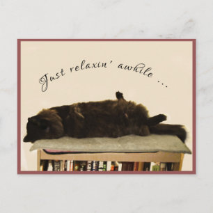 Zwarte kat op vakantie briefkaart